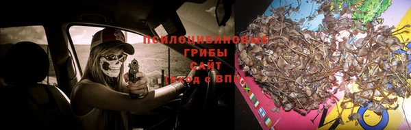 марихуана Баксан